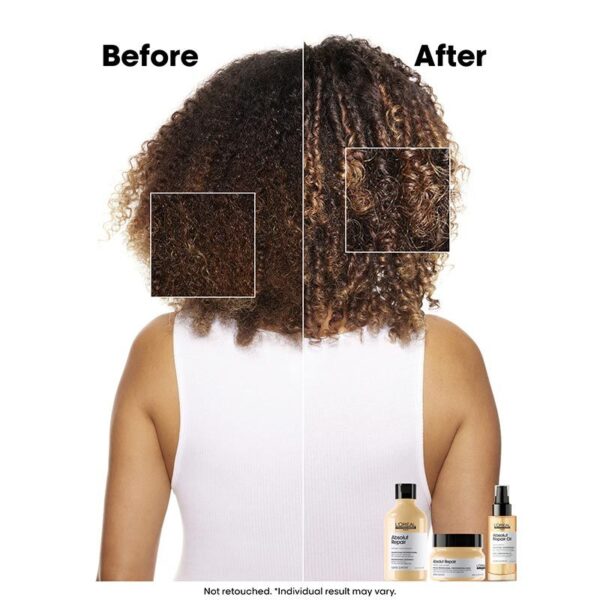 Absolut Repair Mask For Dry and Damaged Hair With Wheat Protein 250gm